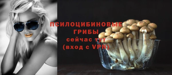 мяу мяу мука Мегион