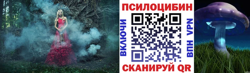 Купить  Катав-Ивановск  Галлюциногенные грибы GOLDEN TEACHER 